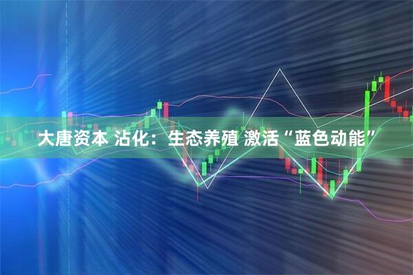 大唐资本 沾化：生态养殖 激活“蓝色动能”